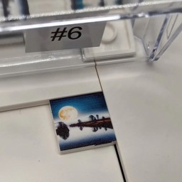 Show details for #6 Picture of #6