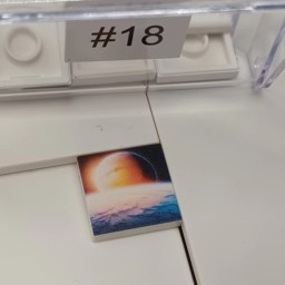 Show details for #18 Picture of #18