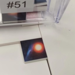 Show details for #51 Picture of #51