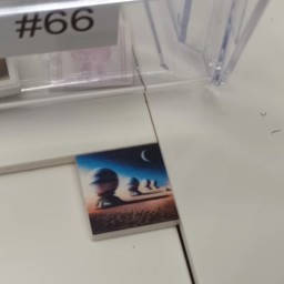 Show details for #66 Picture of #66