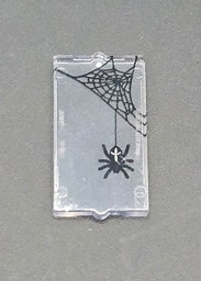 Kleine Spinne auf transparenter Karte Picture of Spinne Fenster klein 1x2x3