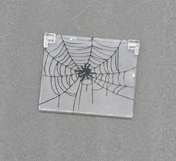Illustration eines Spinnennetzes auf transparenter Folie Picture of Spinne Fenster mittel 1x4x3