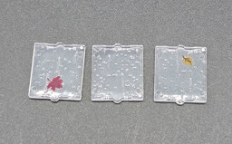 Drei durchsichtige Quadrate mit Blättern Picture of Regenfenster mini 1x2x2