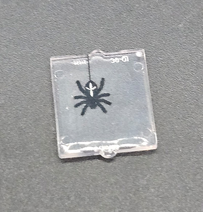 Picture of Spinne Fenster klein 1x2x2