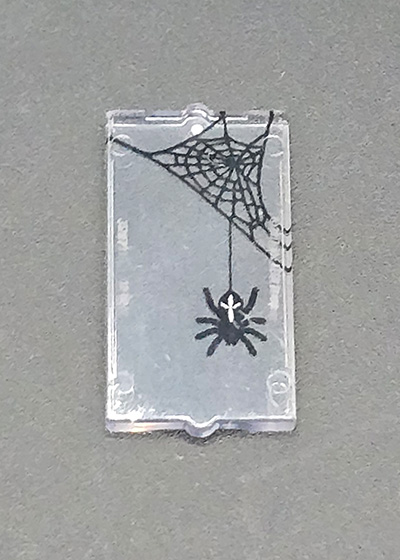 Picture of Spinne Fenster klein 1x2x3
